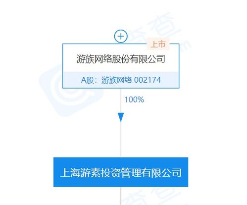 游族关联公司全资入股桑喆网络 计算机系统集成服务迎来新布局