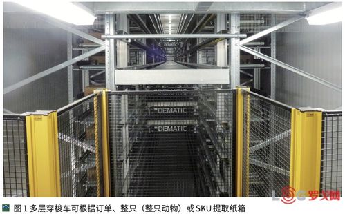 澳大利亚NCMC肉类加工厂提高竞争力的秘诀 自动化物流系统与计算机系统集成服务